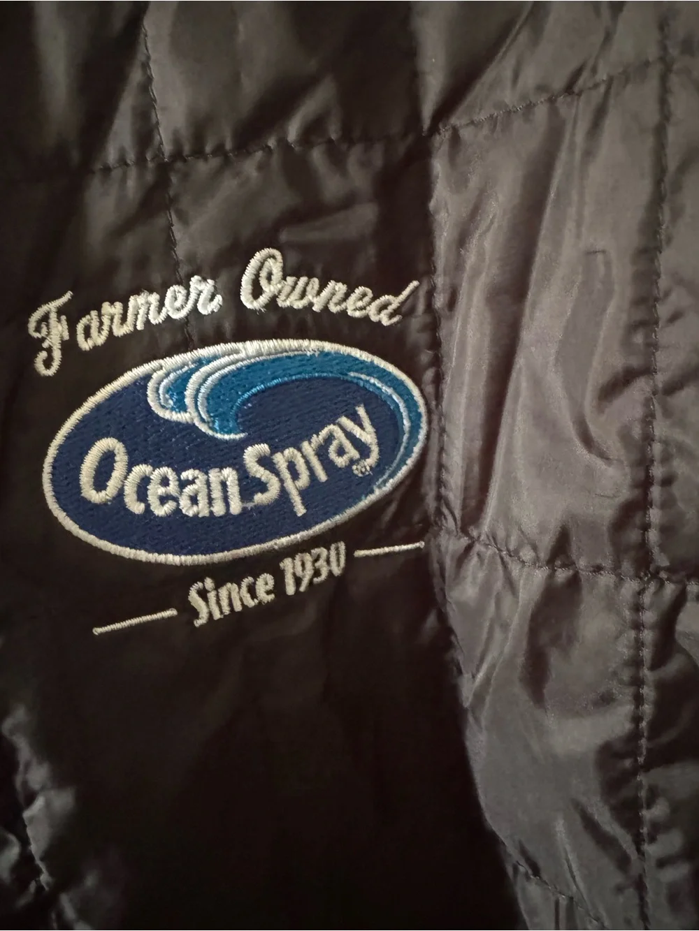 Branded Men's Black Quilted Puffer Jacket
